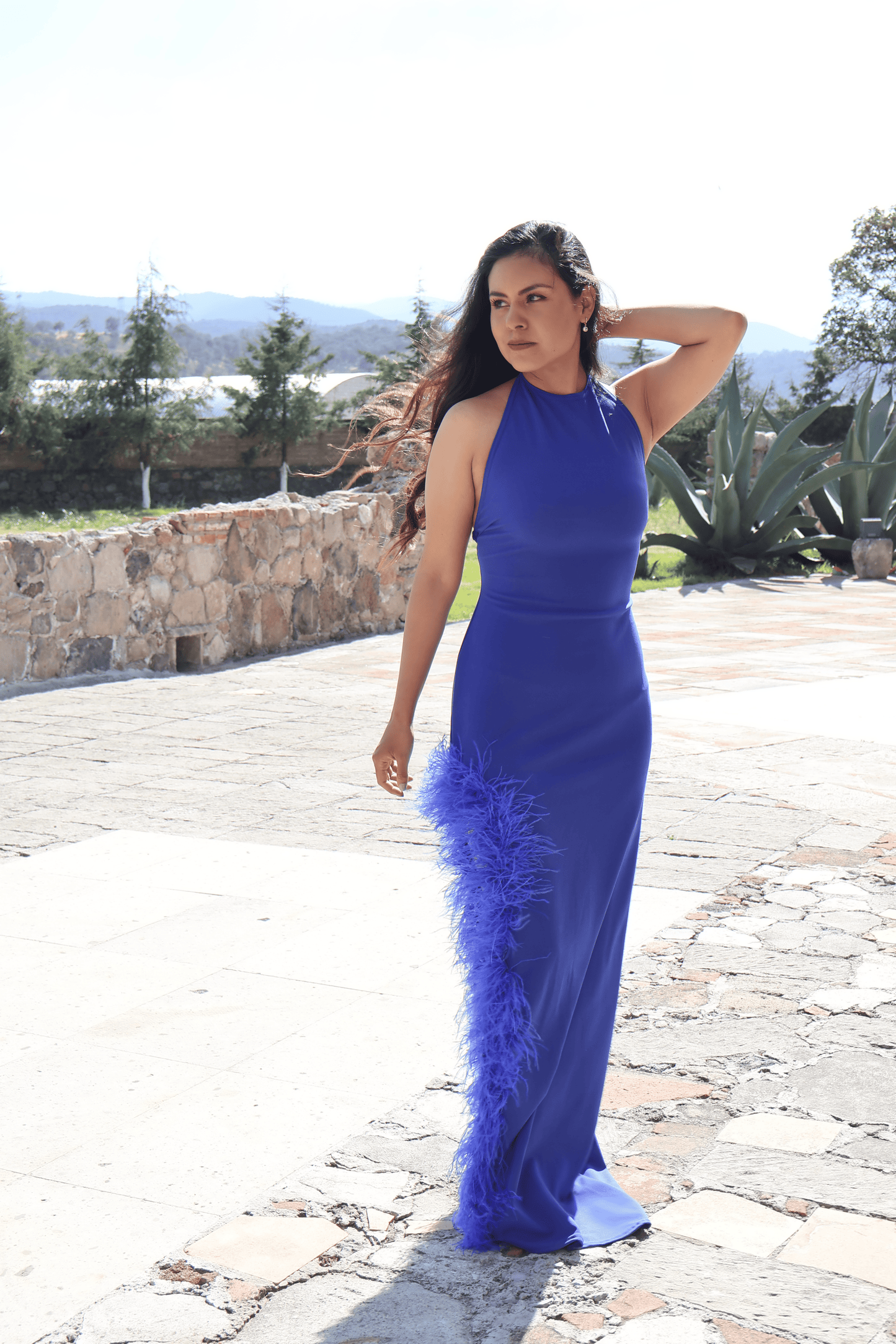 Cora Feather Dress