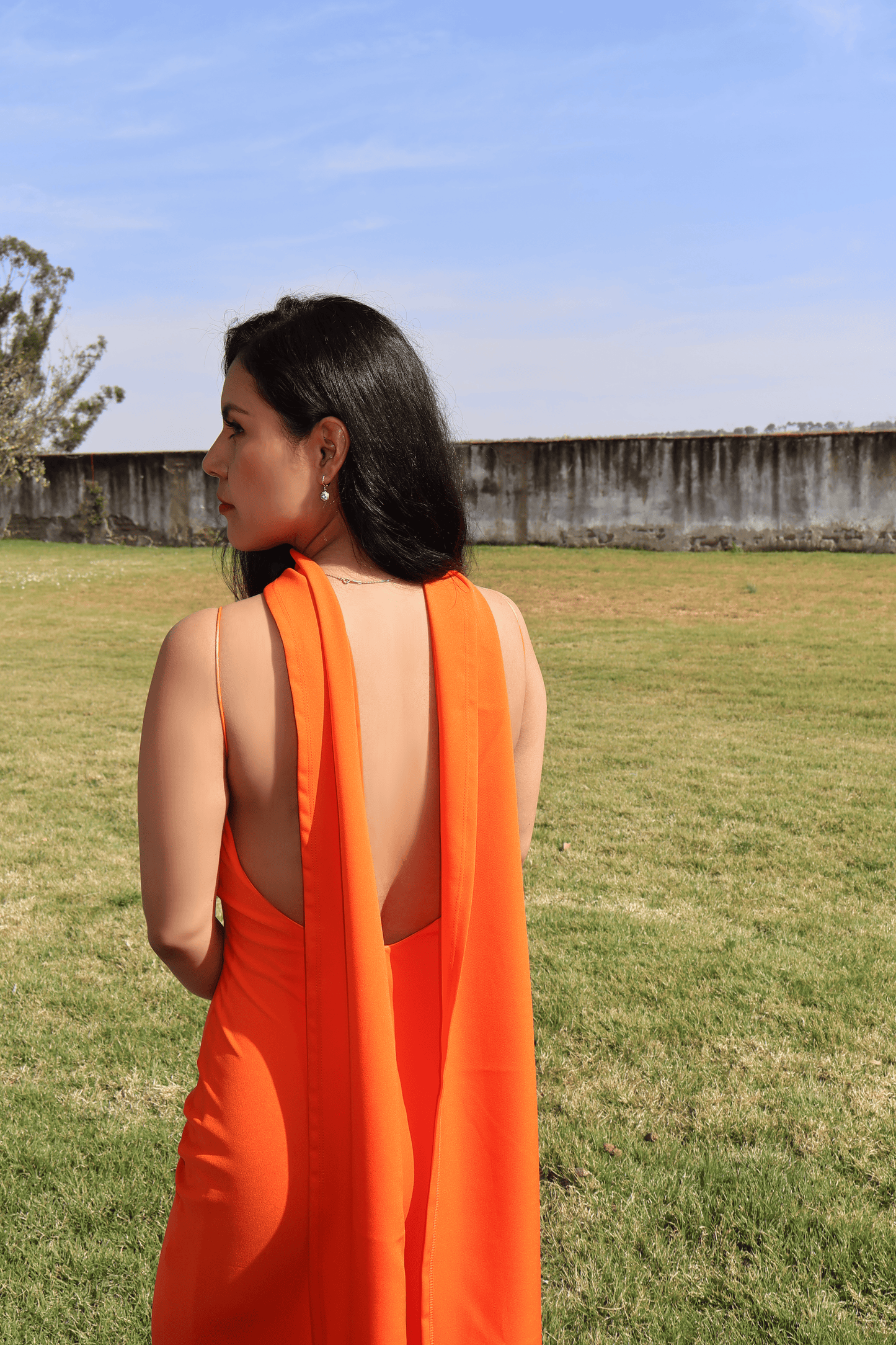 Orange Dress