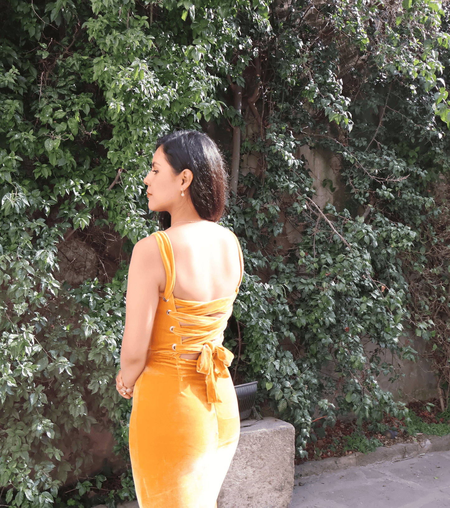 Diana Dress Velvet